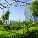 Emergere dalla giungla di cemento: la rinascita dei giardini pensili urbani