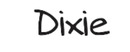 Logo Dixie per recensioni ed opinioni di negozi online di Fashion