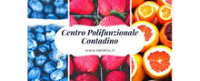 Logo Centro Polifunzionale Contadino per recensioni ed opinioni di negozi online di Articoli per la casa