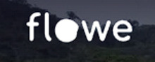 Logo Flowe per recensioni ed opinioni di servizi e prodotti finanziari
