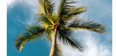 thumbnail of Si viaggiare