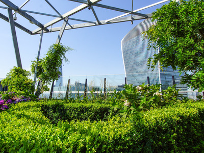 Emergere dalla giungla di cemento: la rinascita dei giardini pensili urbani